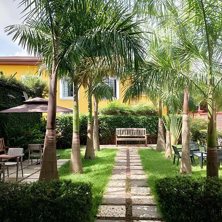 Riad Prince Louis ياوندي المظهر الخارجي الصورة
